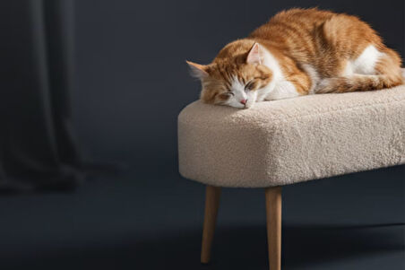 Retro Ahşap Ayaklı Geniş Oturum Alanlı Oval Puf Krem Krem