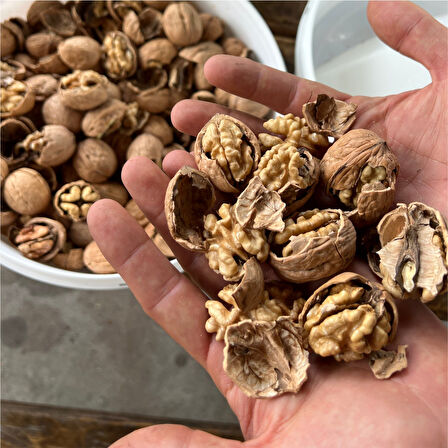 Kadıoğlu CKK45 Ceviz ve Fındık Kırma Makinesi - ZENTRACKK45