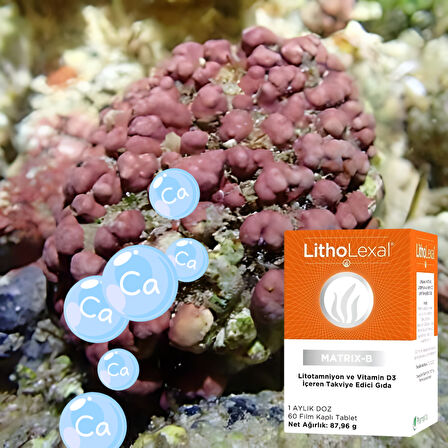 LithoLexal® 60 Tablet- Matrix B (Günlük Mineral Desteği)