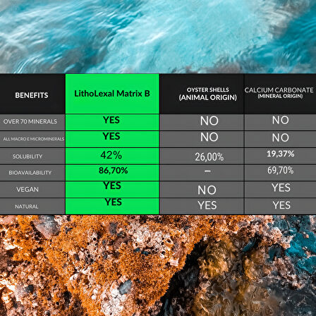 LithoLexal® 60 Tablet- Matrix B (Günlük Mineral Desteği)