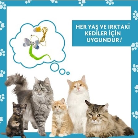 Miyav Yusufçuk Kendinden Yapışkanlı ve Ses Çıkaran Kedi Oltası 2 Metre Lastikli Elastik Kedi Oyun Oltası