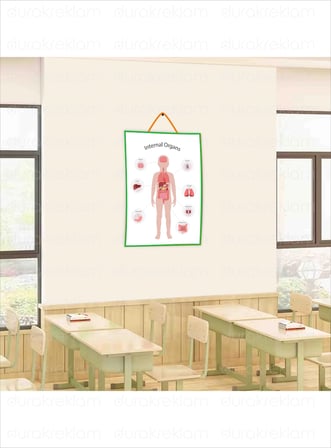 İngilizce İç Organlar Öğretici Poster