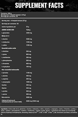 BAD ASS AMİNO (Glutamine + Beta Alanine ) 450 g