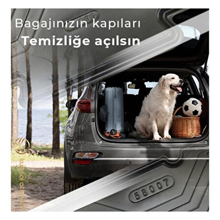 RENAULT CLİO 4 2012-2019 A+KALİTE UYUMLU BAGAJ HAVUZU