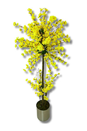 Atom Sarı Bahar Dalı 200 Cm 30x30 Metal Saksı