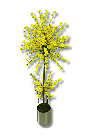 Atom Sarı Bahar Dalı 200 Cm 30x30 Metal Saksı