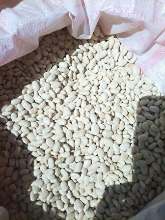 BİTLİS (AHLAT) YENİ MAHSÜL KURU FASÜLYESİ