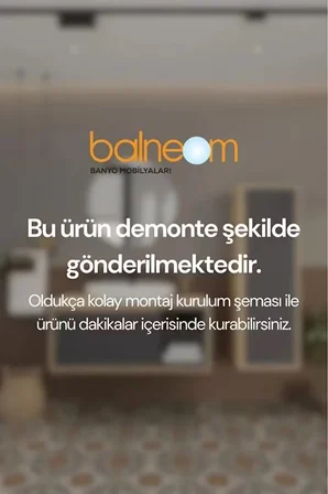 BALNEOM Karanfil 65 Cm %100 Mdf Antrasit Lavabolu Banyo Dolabı Ayna Alt Dolap Lavabo