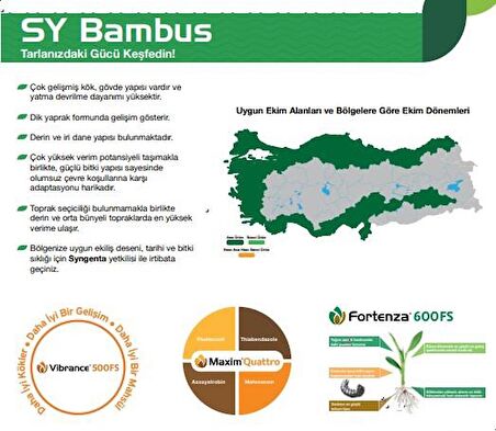 BAMBUS MISIR TOHUMU (50.000 ÇK) SYNGENTA