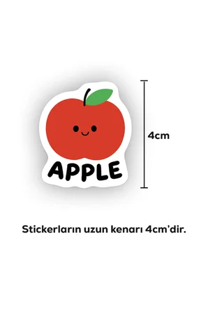 İngilizce Meyveler Sticker Paketi 22 Parça Kaliteli Su Geçirmez Etiket Seti