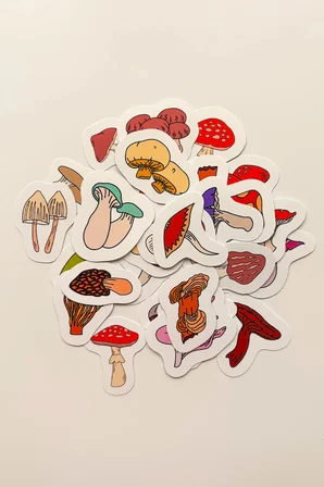 Renkli Mantarlar 30 Parça Sticker Paketi Suya Dayanıklı Ajanda Laptop Termos Telefon Etiket Seti