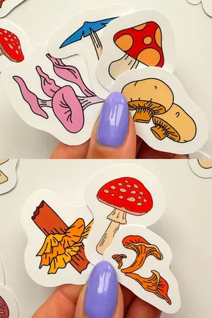 Renkli Mantarlar 30 Parça Sticker Paketi Suya Dayanıklı Ajanda Laptop Termos Telefon Etiket Seti