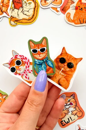 Turuncu Kediler 27 Parça Sticker Paketi Suya Dayanıklı Ajanda Laptop Termos Telefon Etiket Seti