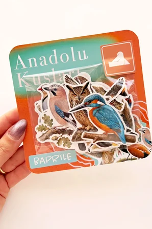 Anadolu Kuşları 25 Adet Sticker Paketi Suya Dayanıklı Laptop Termos Telefon Etiket Seti
