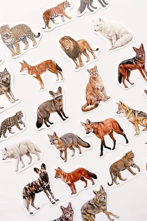 Yırtıcı Hayvanlar Sticker Seti 24 Adet Kurt Aslan Kaplan Tilki Vahşi Hayvan Laptop Ajanda Çıkartma Etiket Seti