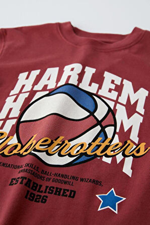 Dokulu Basketbol Desenli Tshirt ve Şort Alt Üst Erkek Çocuk Takım