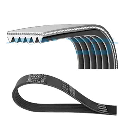 Audi A6 Volkswagen Bora Golf 4 Skoda Octavia 1 1.4 1.6 1996 Sonrası V Kayışı