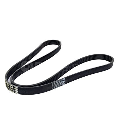 Volkswagen Bora Golf 4 Audi A3 Seat Toledo 1.6 16V BCB AZD 2000 Sonrası V Kayışı