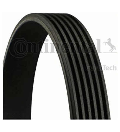 Audi A3 Volkswagen Golf 5 Jetta Skoda Octavia Superb 1.4 TSI 2005 Sonrası V Kayışı