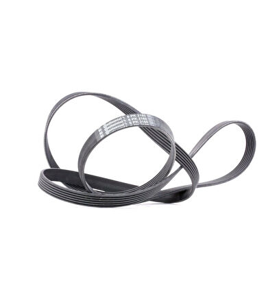 Ford Mazda Mercedes V Kayışı