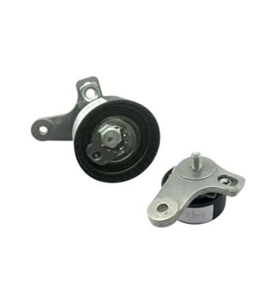 Chevrolet Captiva Opel Antara 2.0 CDTI 2006 Sonrası Triger Gergi Rulmanı