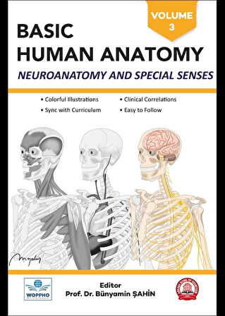 Basic Human Anatomy SET 3LÜ