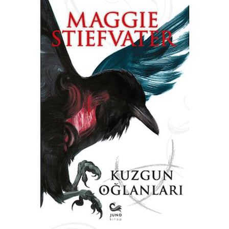 Kuzgun Oğlanları - Roman