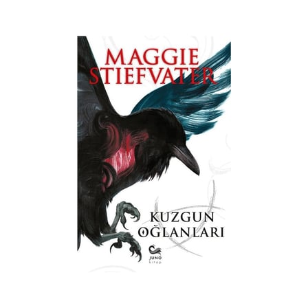 Kuzgun Oğlanları - Roman