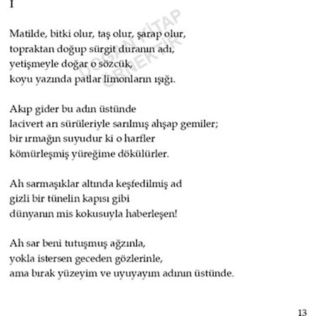 120 Sayfalık Aşk Temalı Şiir Koleksiyonu