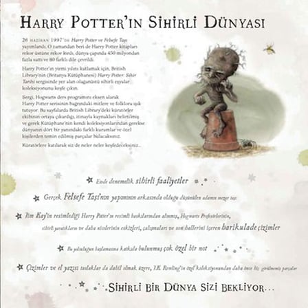 Sihir Tarihinde Harry Potter: Büyülü Bir Yolculuk