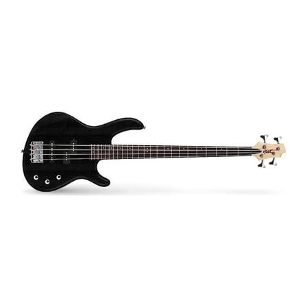 Ergonomik Gövdeye Sahip 4 Telli Bas Gitar ile Kılıf