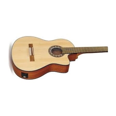 Elektro Klasik Gitar ile Profesyonel Müzik Deneyimi