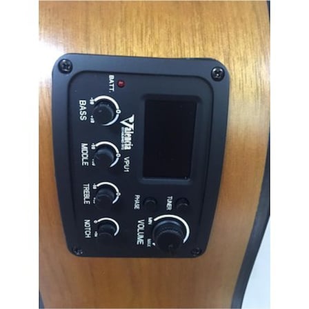 Elektro Klasik Gitar ile Profesyonel Müzik Deneyimi