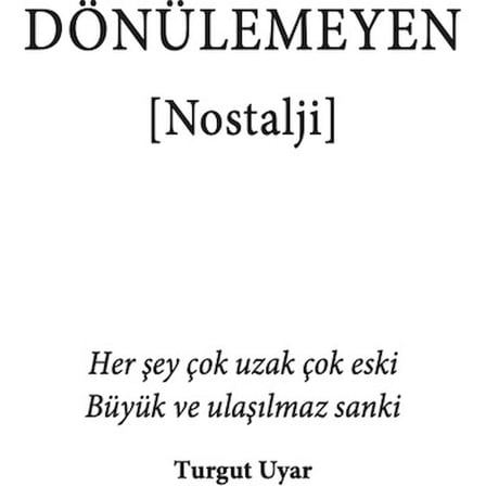 Ayağımın Üzengisine Yetişemediğim Günler: Şiir