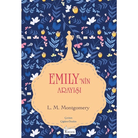 Bez ciltli roman: Emily'nin Arayışı 3 hikayesi