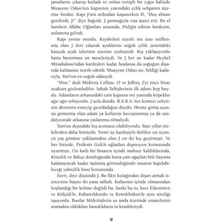 Teftiş: Gizemli Bir Roman Denemesi