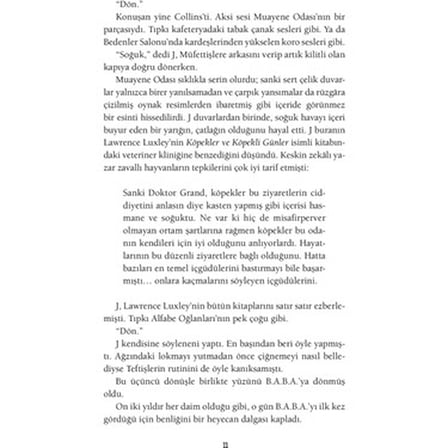 Teftiş: Gizemli Bir Roman Denemesi