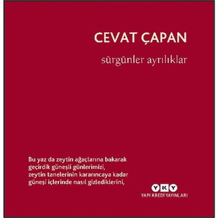 Ayrılıklar ve Sürgün Temalı Duygusal Şiirler