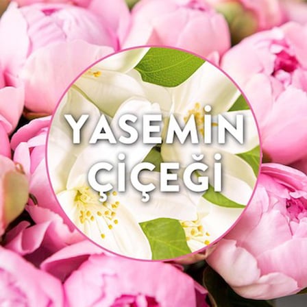 Yasemin Aromalı Elektrikli Oda Kokusu Yedek Şişe