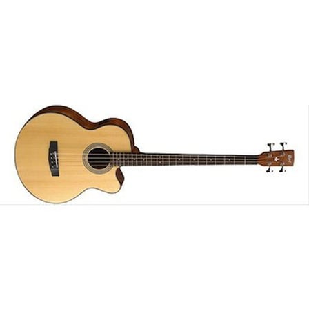 Fishman EQ ile Donatılmış Elektro Akustik Bas Gitar