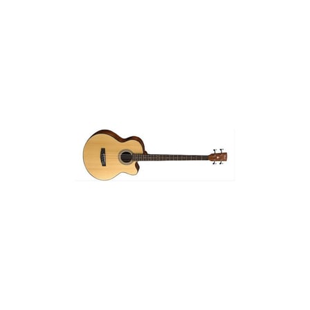 Fishman EQ ile Donatılmış Elektro Akustik Bas Gitar
