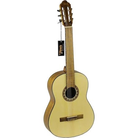 Klasik Gitar Kılıf ile 4/4 Boyutunda Parlak Renk Seçeneği