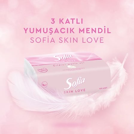 Pudra Kokulu Mendil 100'LÜ Paket 12 Adet