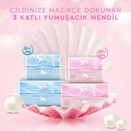 Pudra Kokulu Mendil 100'LÜ Paket 12 Adet