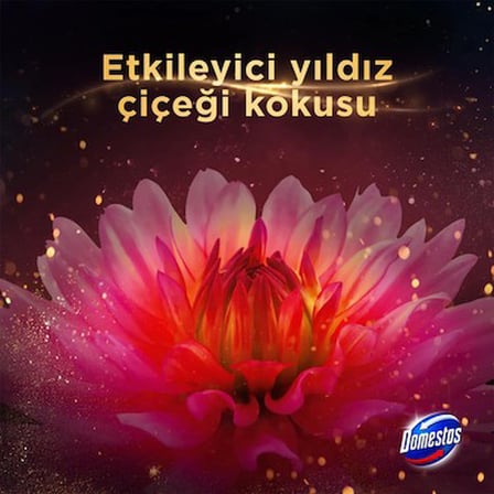 Yıldız Çiçeği Aromalı Tuvalet Bloğu ile Ferah Temizlik