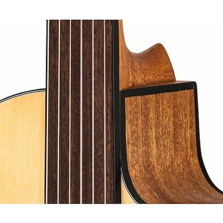 Perdesiz Klasik Gitar ile Müzik Eğlencesi ve Taşıma Kılıfı