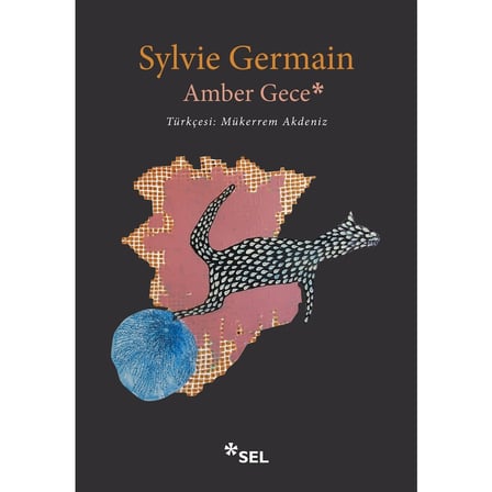 Gece Temalı Amber Romanı