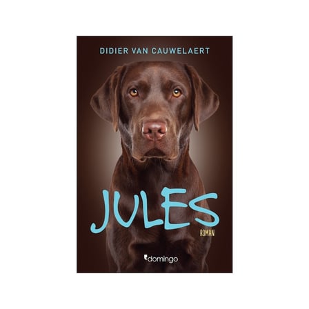 Jules: Keşfedilmemiş Hayatlar ve Anılar