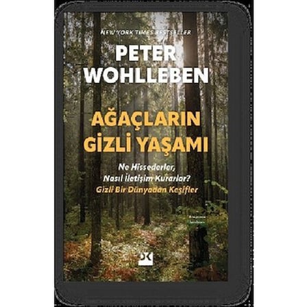 Ağaçların Gizli Yaşamı: Doğanın İletişim Dili