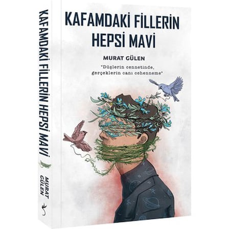 Murat'ın Mavi Düşleri: Hayal Gücünün Sınırsızlığı